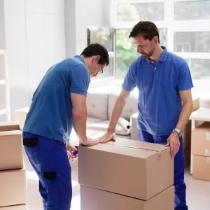 Professional Packing
